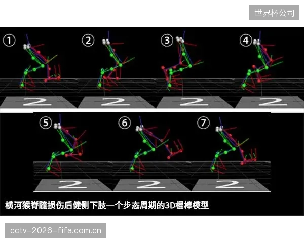 顶级运动科学实验室录得共识：低于240Hz采样率的动作捕捉数据，在分析爆发力项目的损伤风险时已无显著参考价值